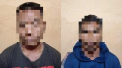 Pencurian Sapi di Lunyuk: Dua Pelaku Ditangkap.