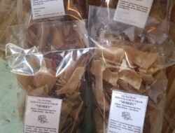 Inovasi Kerupuk Jamur: Kreativitas Lokal Penggerak Ekonomi Desa