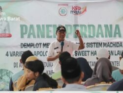 Pemda KSB Siapkan Poto Tano Jadi Lumbung Hortikultura