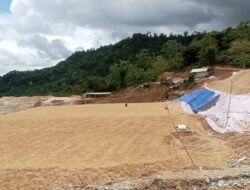 Tidak Masuk WPR/IPR, Kontrak Lahan Modus Baru! WNA Bebas Garap Tambang Ilegal Di Lantung